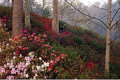 《FUBUKI》4月登陆Steam 高速度像素风横版动作